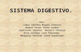 Sistema digestivo Versión Final de Exposición.
