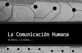 La comunicación humana en Areiza & Correa, Semayor Pereira