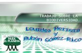 Biodiversidad Lourdes Y Ruben