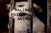 Maltrato psicologico animal