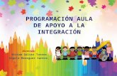 Programación aula de apoyo a la integración