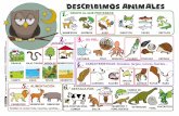 Describir animales