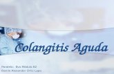 Colangitis Aguda