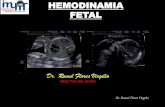 Hemodinamia fetal imumr