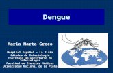 Charla informativa sobre Dengue para la comunidad. Dra. María Greco.  Hospital Español de La Plata. Agosto de 2009.