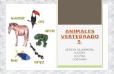 Animales vertebrados: mamiferos, aves y reptiles