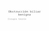 Obstrucción biliar benigna