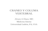 Craneo y columna vertebral