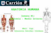 Anatomia y fisiología 01