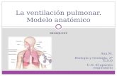 La ventilación pulmonar