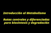 Generalidades Del Metabolismo.2007