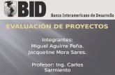 Evaluación de proyectos BID