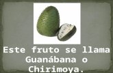 Guanabana o chirimoya