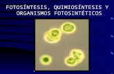 Pres 22-cloroplastos y fotosintesis 2