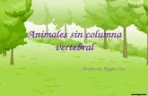 Animales sin columna_vertebral