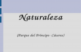 Naturaleza (Parque del Príncipe - Cáceres)