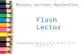Flash lector2