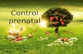 Control prenatal (2)