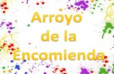 Arroyo sara garcía del rey