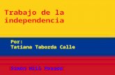 Conflictos politicos, govierno y leyes durante la independencia colombiana