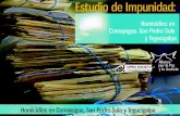 Estudio sobre impunidad  comayagua, sps, tegucigalpa 24.11.14 v. final