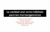 La cavidad oral como hábitats para los microorganismos