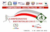 2015   ABEDICA - Campeonatos Distritales - Guía categorías Iniciación y Formación