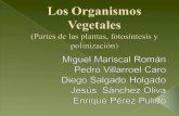 Los organismos vegetales