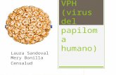 Vph virus del papiloma humano!