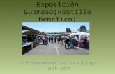 Exposici³n guamasa(rastillo ben©fico)