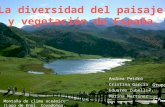 La diversidad del paisaje  y vegetación de España.