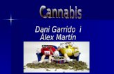 Alex i dani 17 cannabis