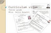 Curriculum y entrevista laboral