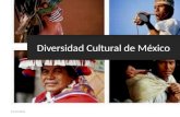Diversida cultural de mexico