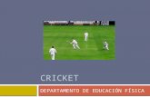 Cricket Información Visual 2ºESO