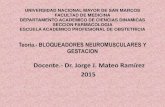 Bloqueadores Neuromusculares en la Gestación.2015