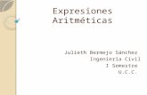 Expresiones aritm©ticas