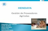 Hendaya gestion de proveedores agricolas