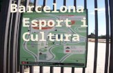Barcelona   esport i cultura