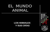 El  mundo animal