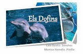 Els dofins