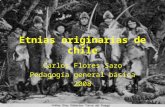 Etnias originarias-de-chile-1224038848255997-8 (1)