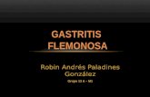 Gastritis flemosa
