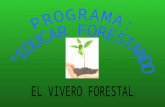Presentación educar forestando
