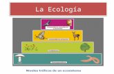 La Ecología