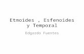 Clase etmoides , esfenoides temporal