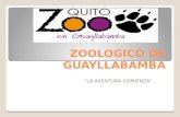 Zoologico de guayllabamba