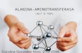 Alanina aminotransferasa