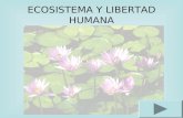 Ecosistema Y Libertad Humana