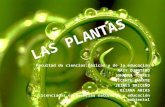 Las plantas diapositivas